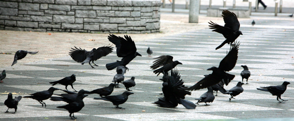 鳩達も唖然