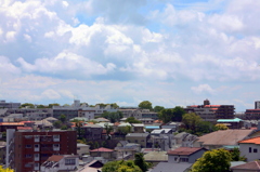 青葉の本牧