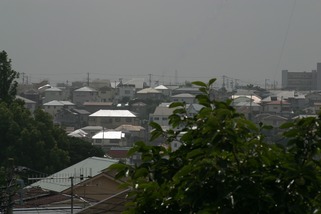 朝日の横浜-1