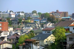 横浜新緑