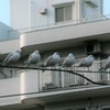 目下訓示中