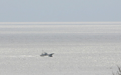 渺茫孤舟あり222