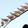 下通りたくないな～