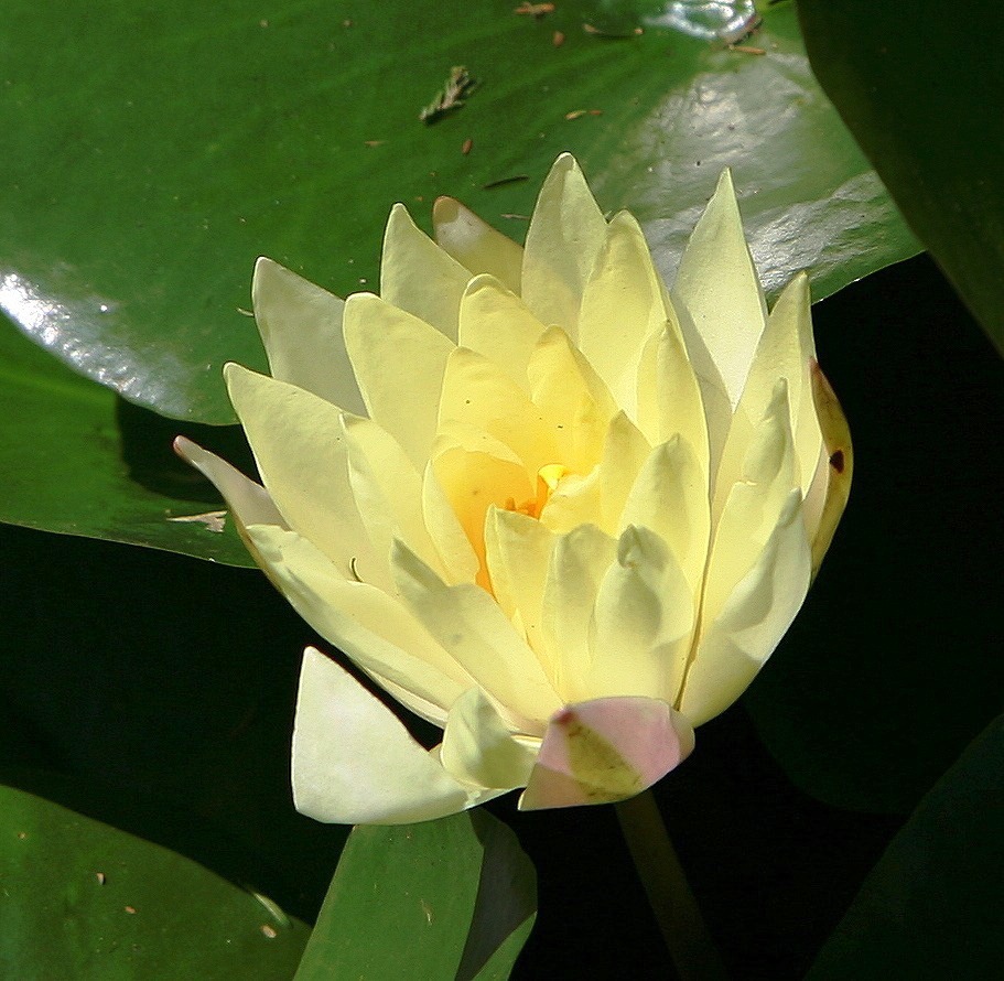 夏の終わりの詩105