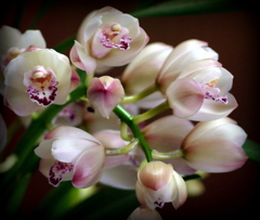 しばらくは毎日一緒