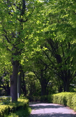 新緑2014bbb