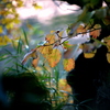 IMG_4047-888