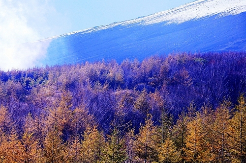 裾野の秋（須走五合目）