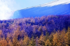 裾野の秋（須走五合目）
