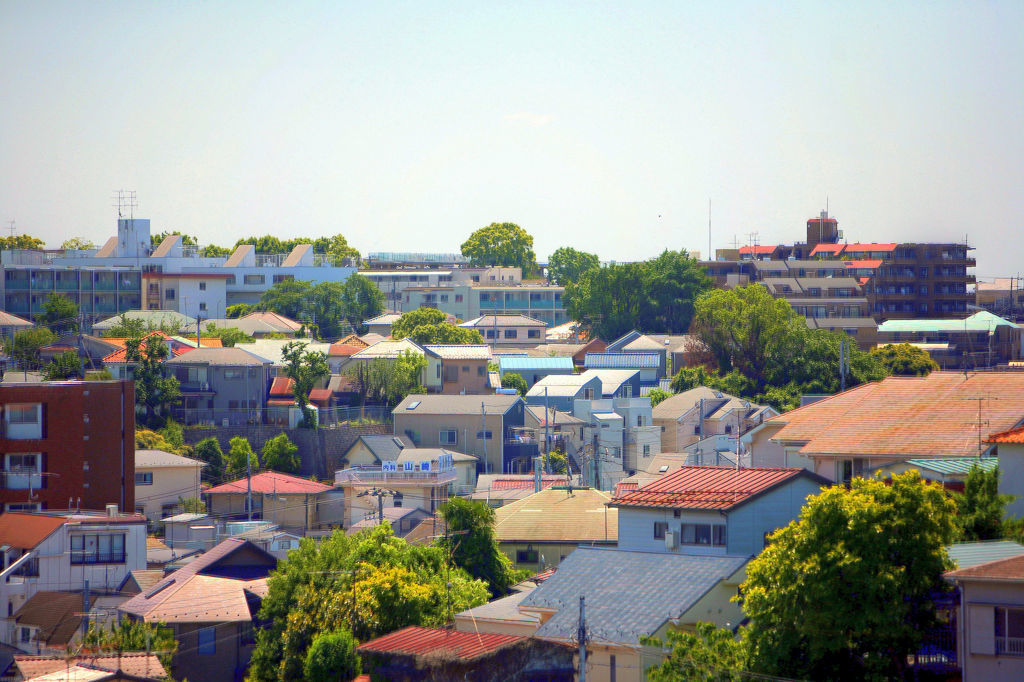 眼に青葉山ホトトギス初鰹