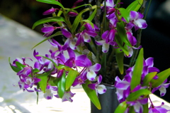 あっというまに全開