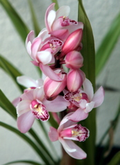 そろそろ終わりですね～