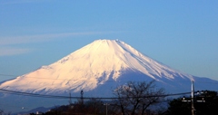 家の窓から
