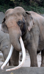 お話したいな～ 222