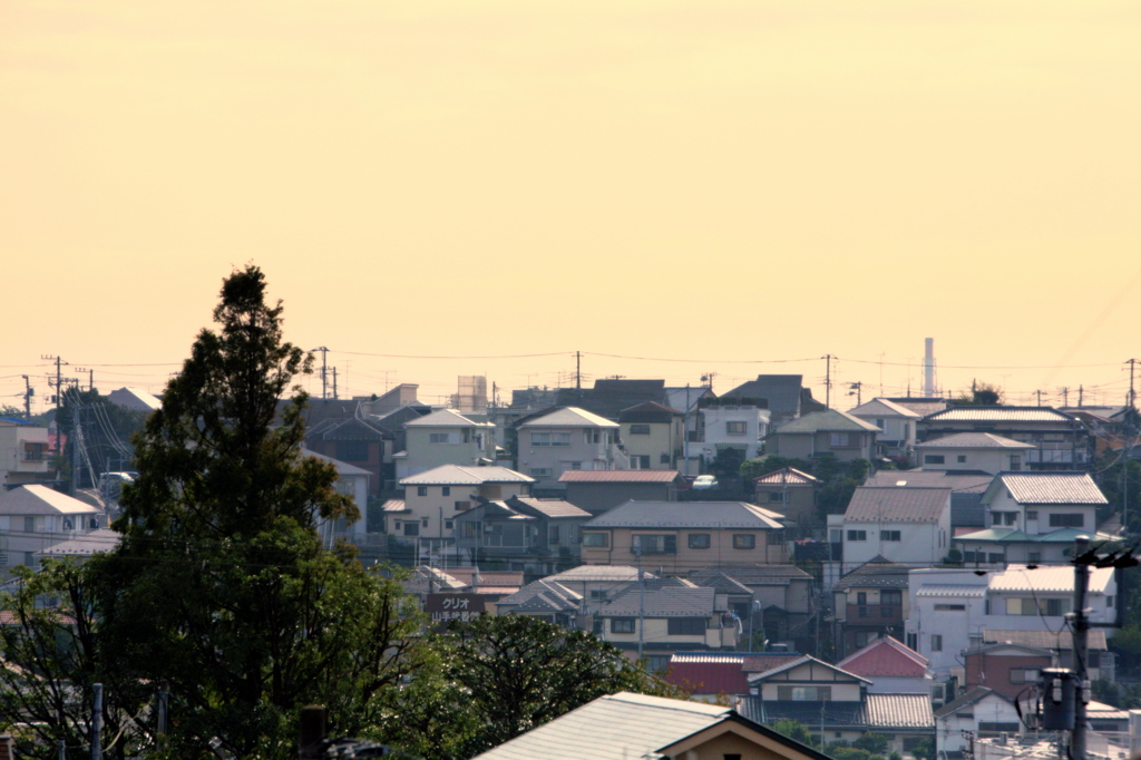 朝の陽