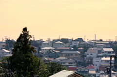 朝の陽