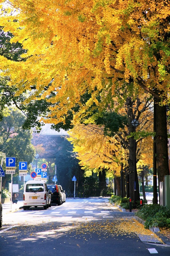 秋の横浜-444