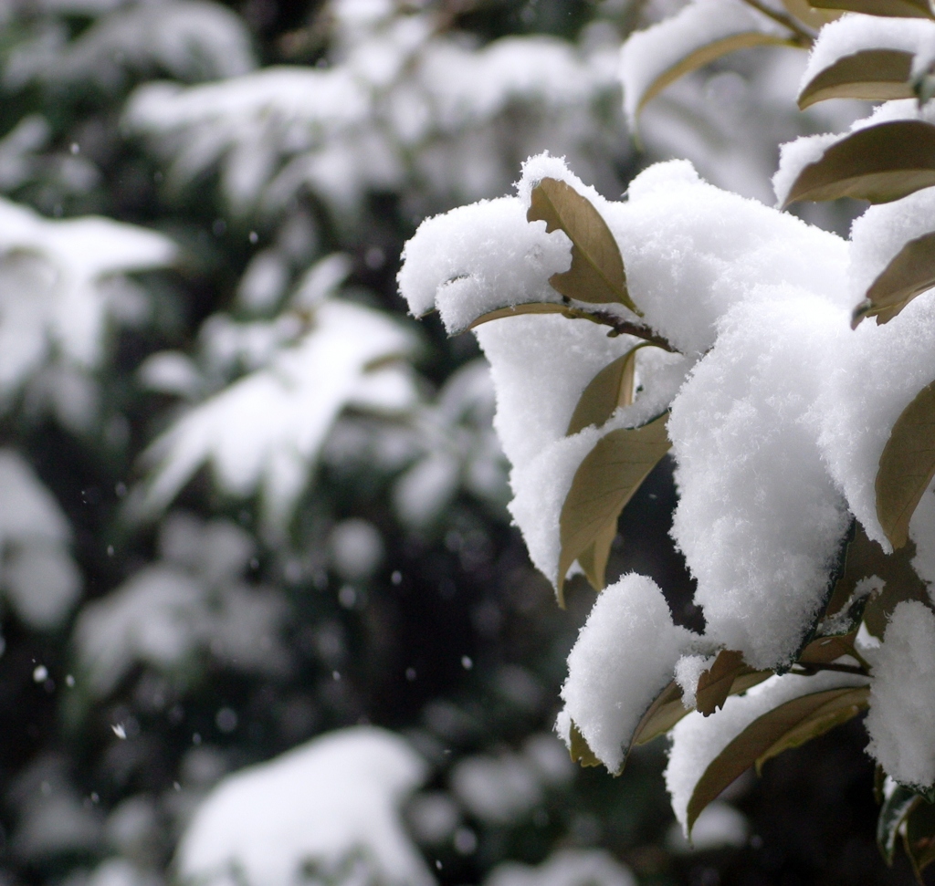 横浜まだ降ってます-111
