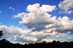 最後の秋空