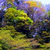 青葉青葉-3