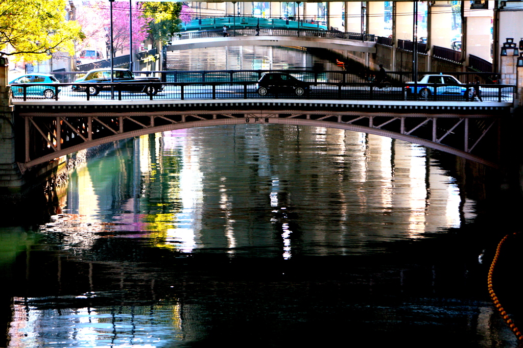 春の中村川運河