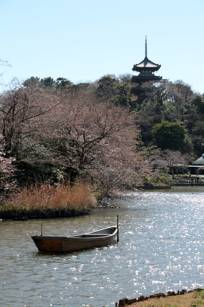 春の三渓園