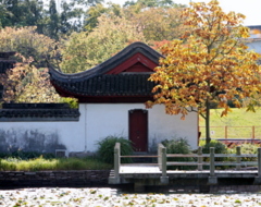 晩秋賦111