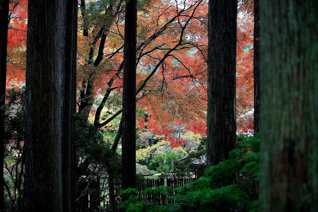長安寺