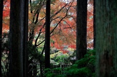 長安寺