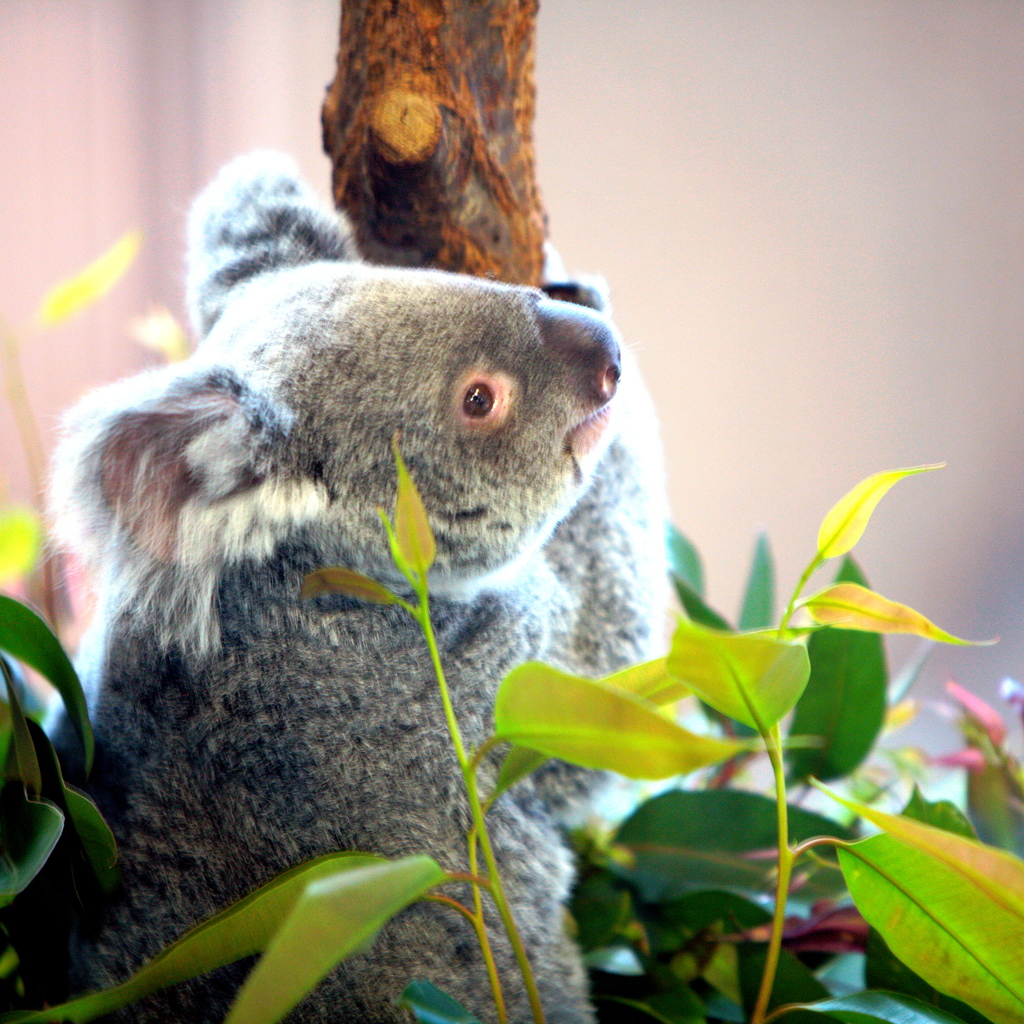 幸せなのかな～