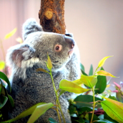 幸せなのかな～