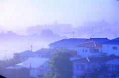 横浜－朝霧