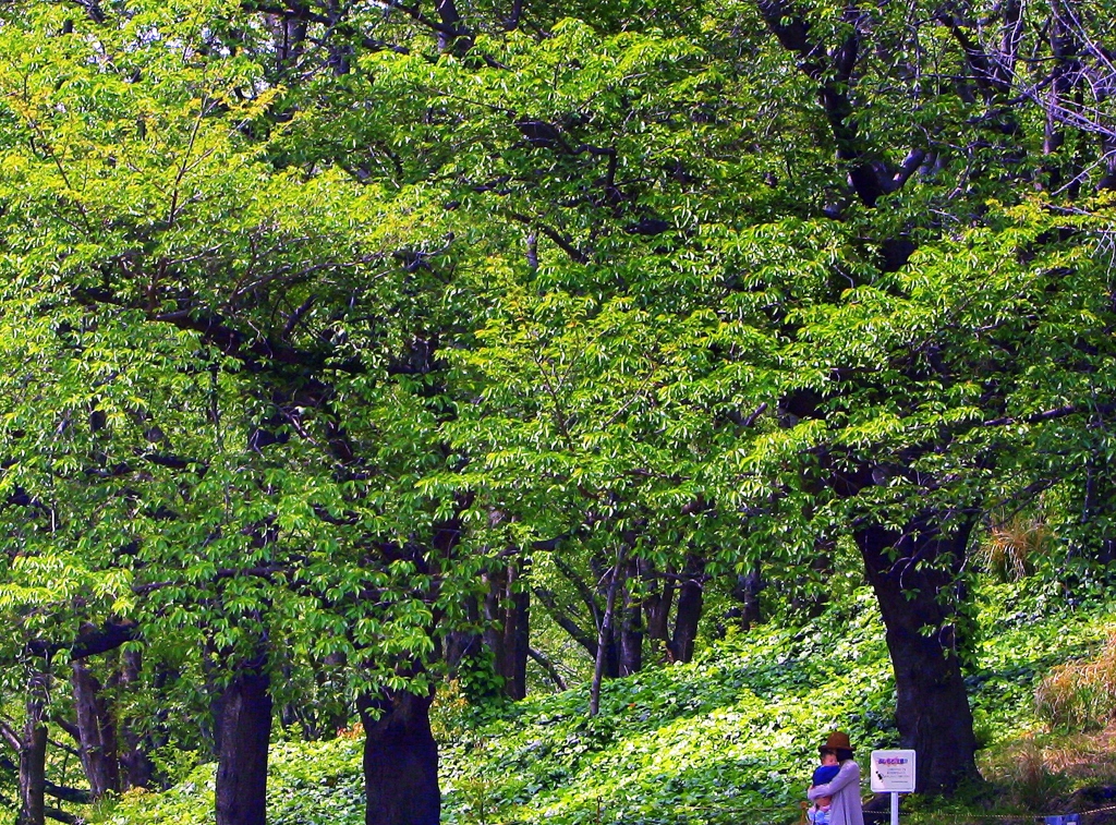 ママと一緒の夏