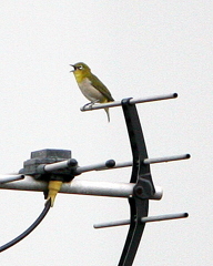 帰ってきたぞ～！！！