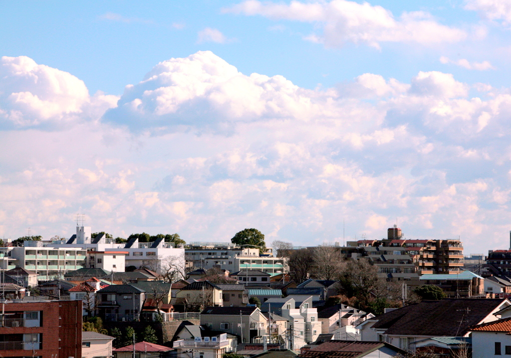 午後の陽の横浜