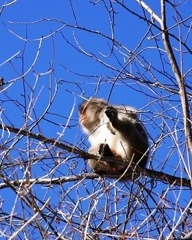 お～い、あぶね～ぞー！！