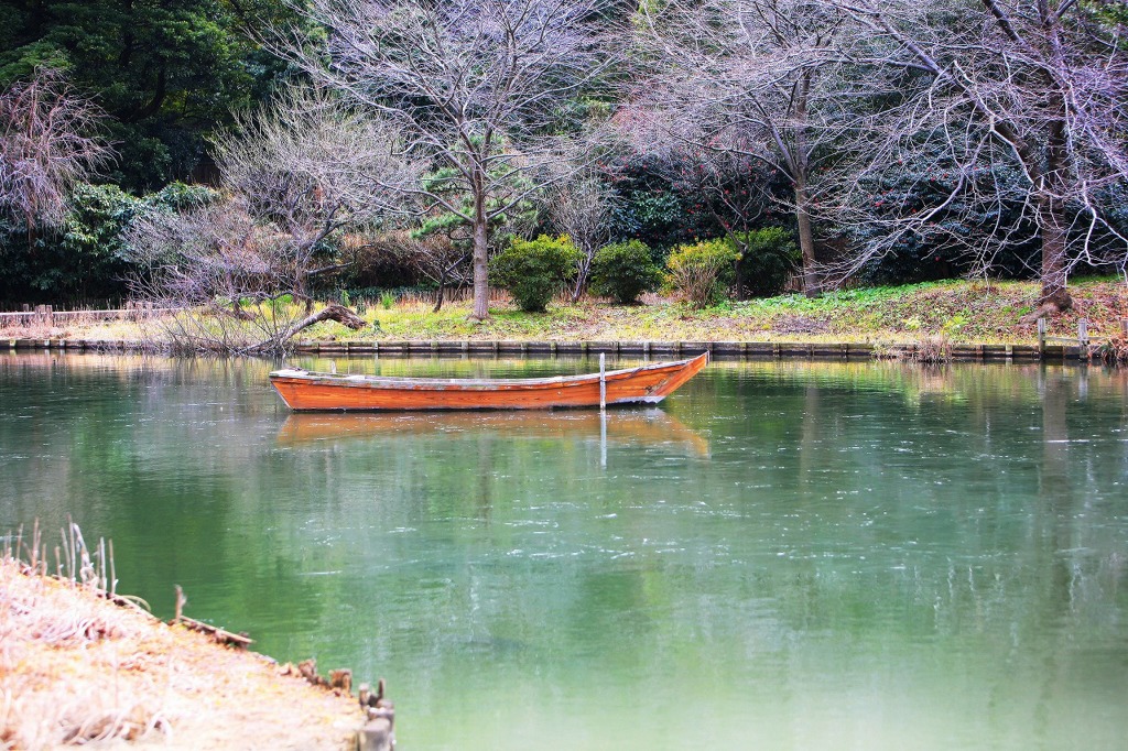 真冬の三渓園333