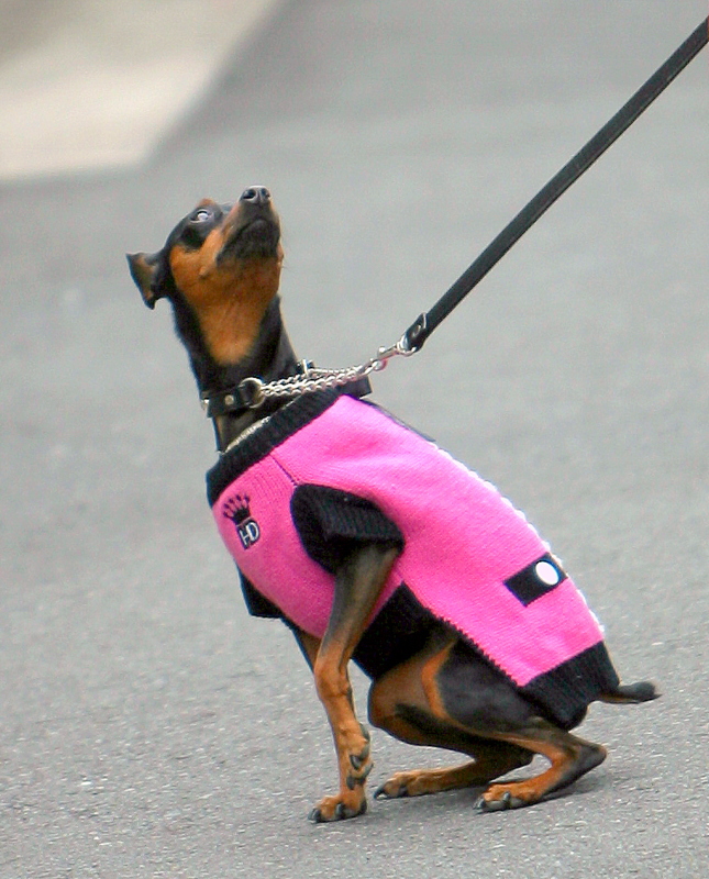 「な～にー？」