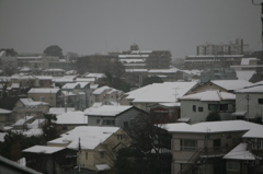 雪の横浜