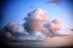 やっと夏も終わり