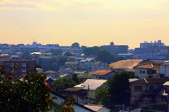 朝の陽の横浜