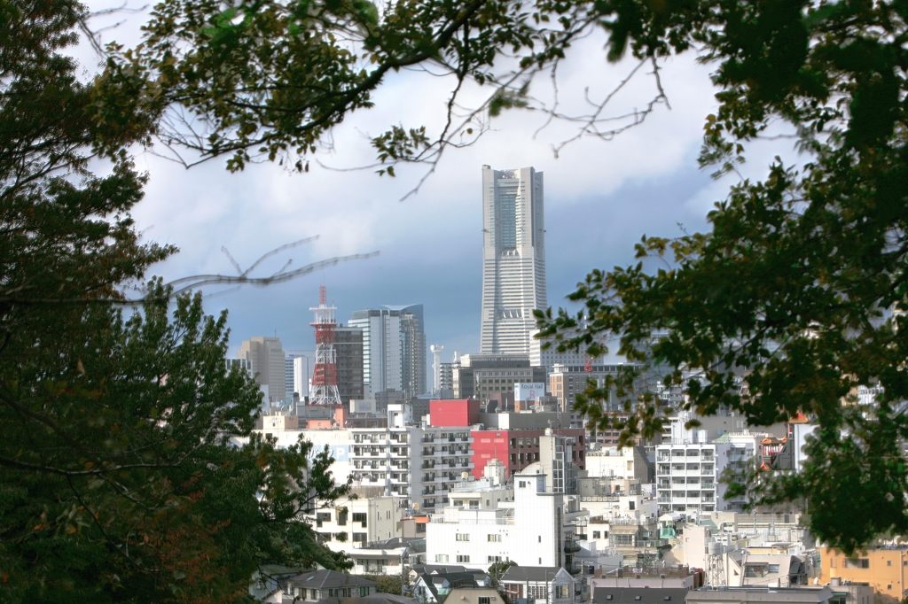 横浜雨上がり222