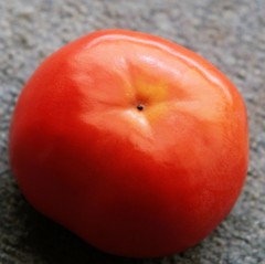 今年の実り