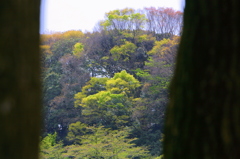初夏へ