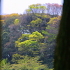 初夏へ