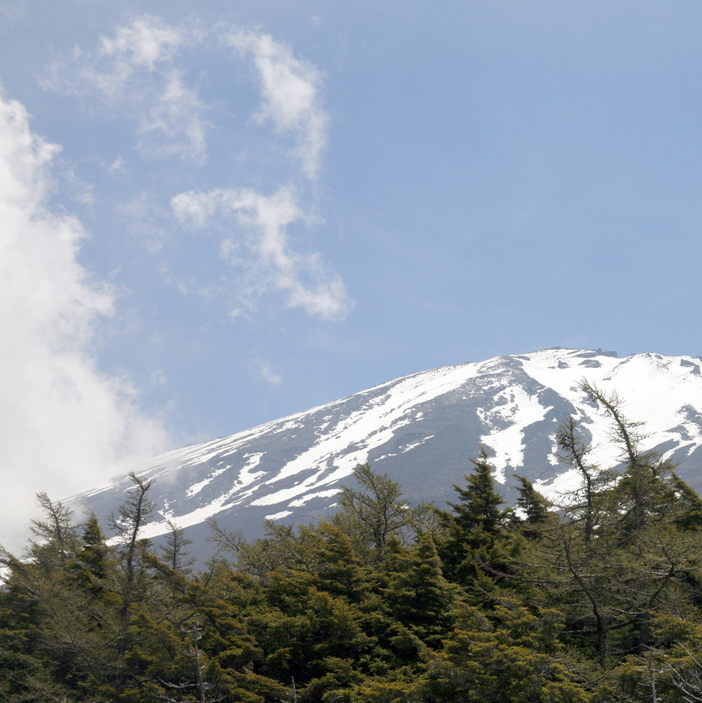 ある日の富士山