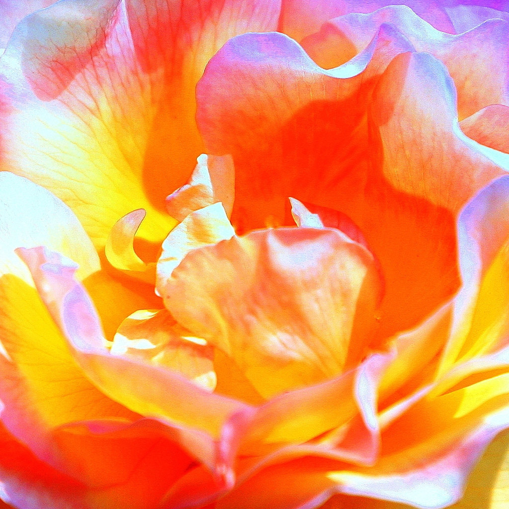 知らない世界への入り口