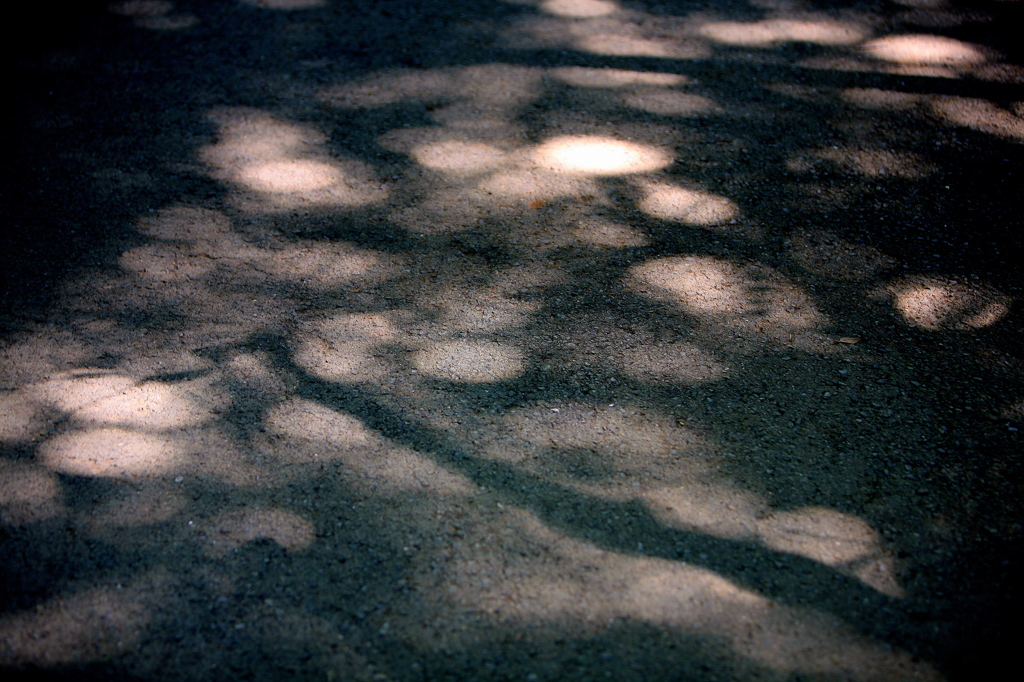 夏の終わりの詩