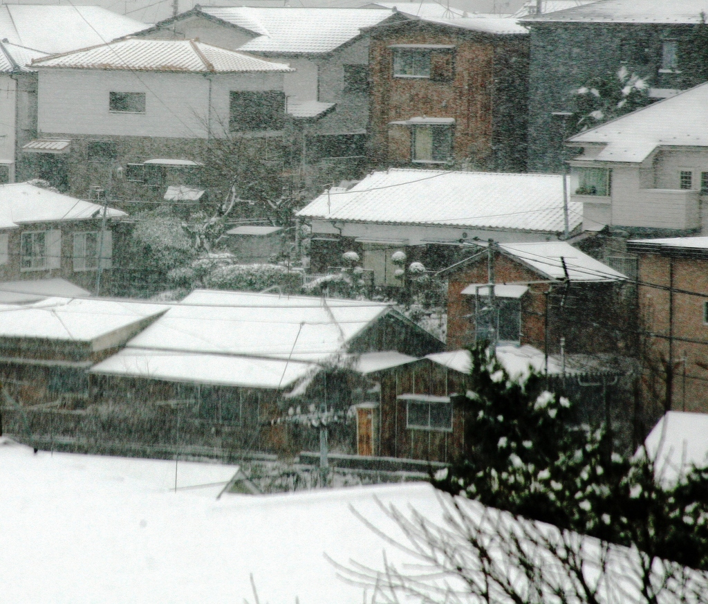 横浜まだ降ってきます-222