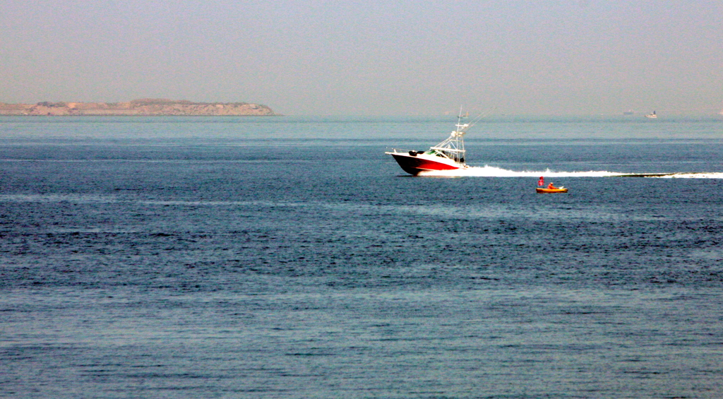 心ない事をするな～！！！